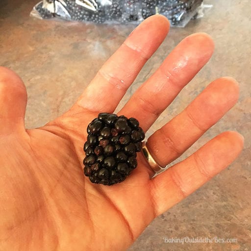 This French recipe for Low Sugar Blackberry jam tastes of fresh fruit and late summer sunshine. It takes less than half the sugar of a regular jam recipe