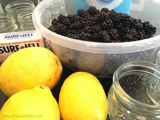 Low Sugar Blackberry Jam French Style